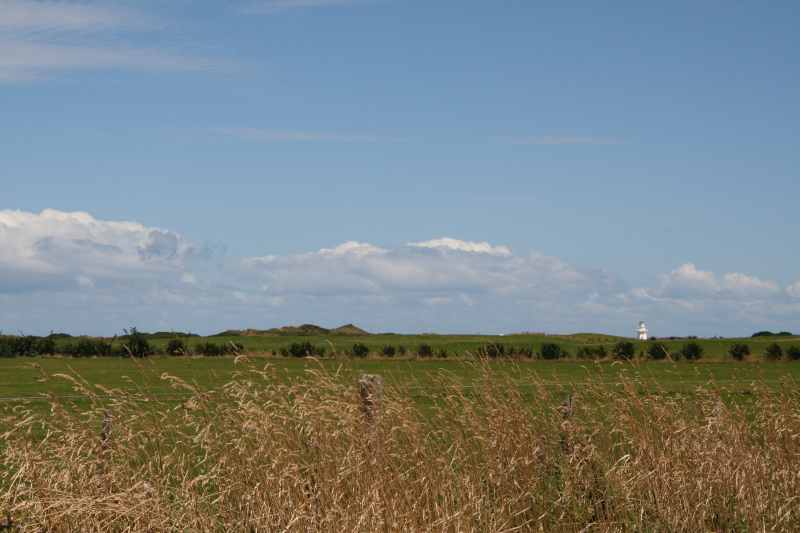 Nieuw-Zeeland 2011 - 1757